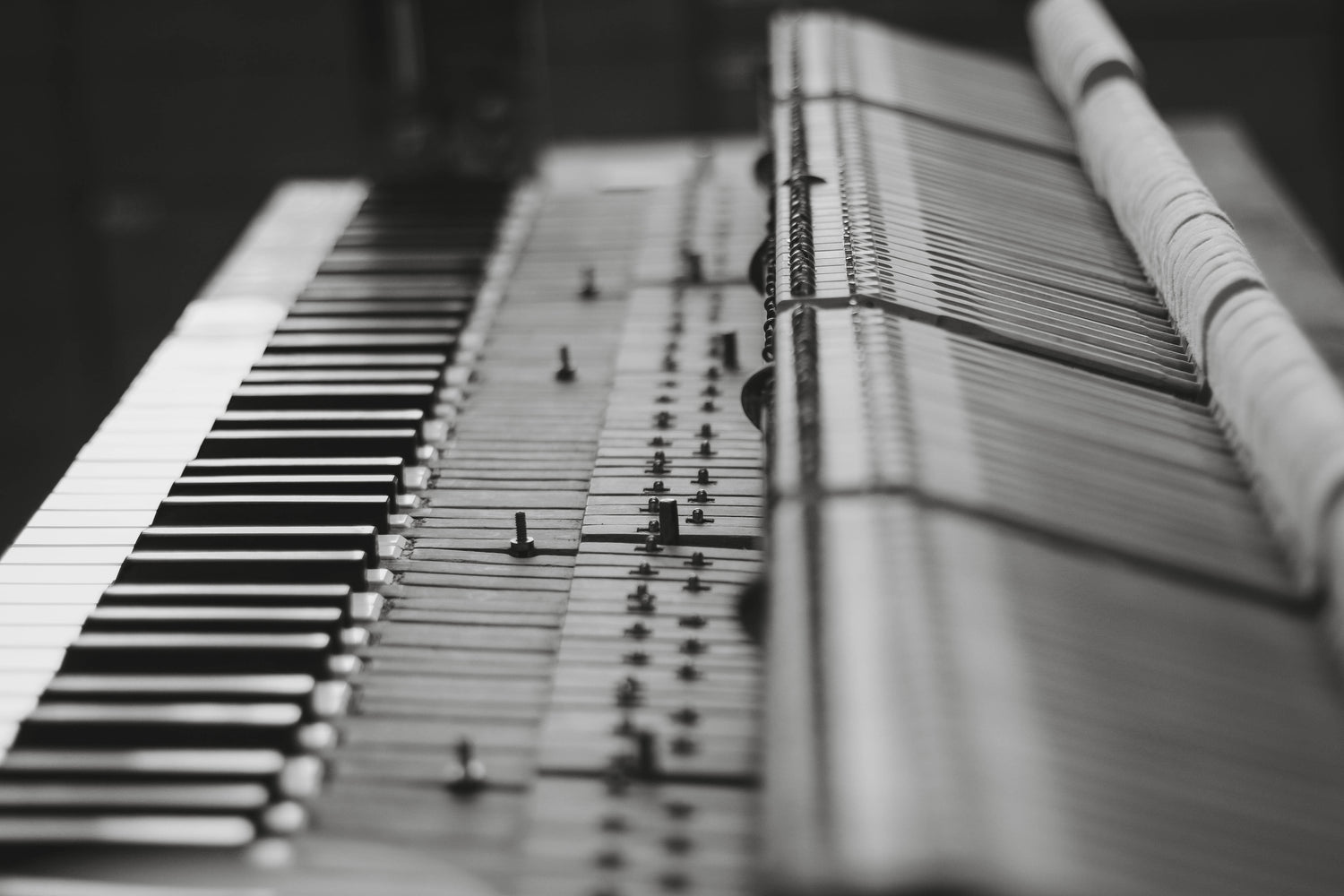 Piano technician tools
