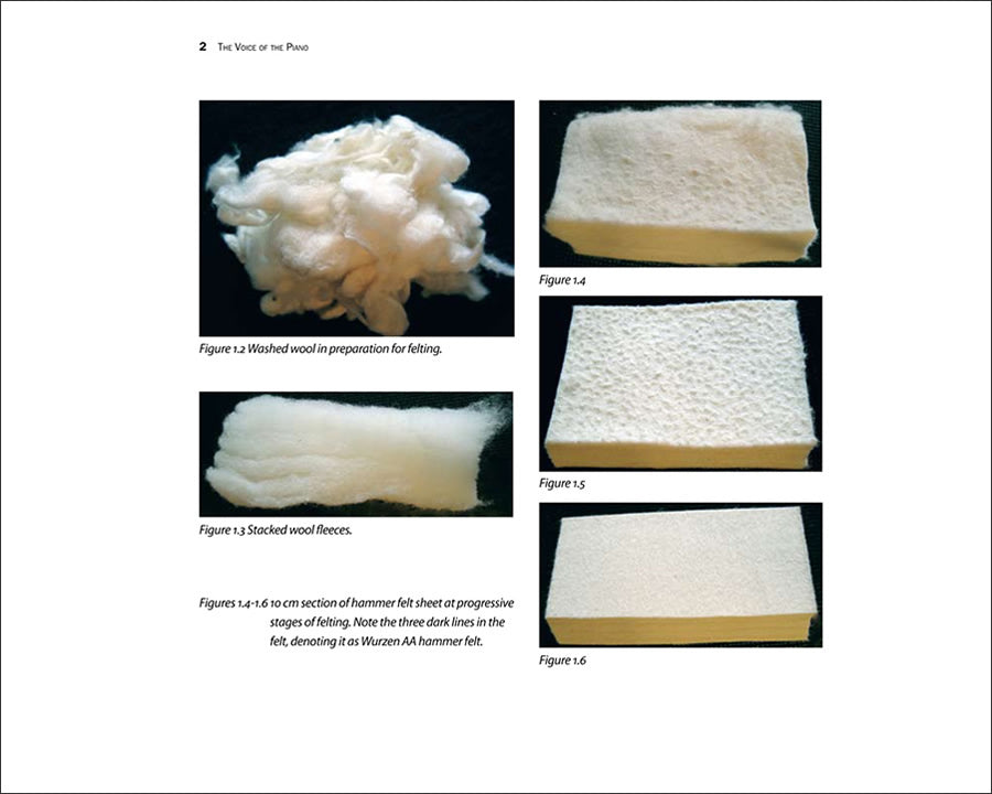 The Voice of the Piano Book & DVD